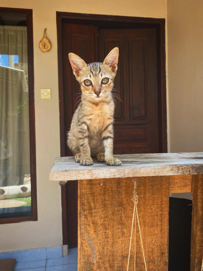 غيلي تراوانغان Jimador'S Homestay المظهر الخارجي الصورة