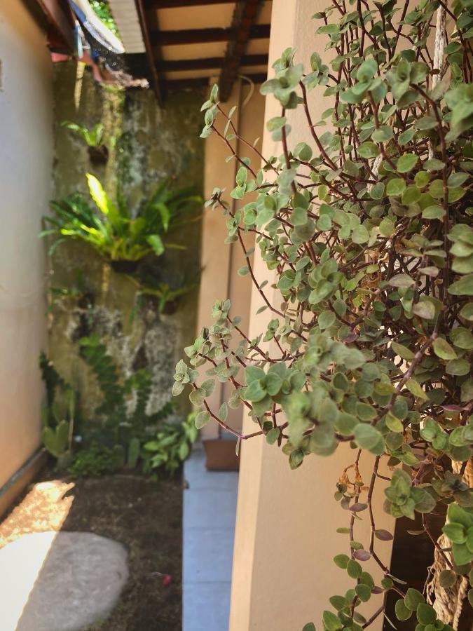 غيلي تراوانغان Jimador'S Homestay المظهر الخارجي الصورة